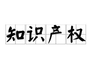 守護知識堡壘 漫談知識產(chǎn)權(quán)的重要性